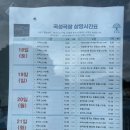 [전남 곡성] 작은 영화관, OLC 곡성극장에서 영화 '기적' 보고 왔어요