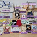 (주)펫츠랜드 이미지