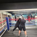 고잔복싱 이미지