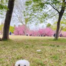 살랑살랑 이미지