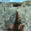 초입농장 이미지