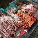 프라이빗어스 이미지