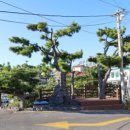 대포동 등명대 이미지