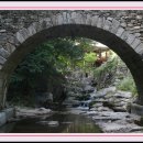 보물나라 이미지