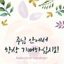 (주)하늘나라 Daum카페