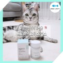 베스트팜R동물병원(출장진료전문병원) | [고양이유산균_본아페티] 고양이 면역력 유산균 30일 급여 및 맛동산 변화 후기