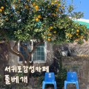 초록애견샵 | 서귀포 안덕면 감성 카페 | '풀베개' 커피도 마시고, 소품샵 구경까지?! (ft.노키즈존 별관, 애견동반카페)