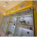 강아지에 빠지다 이미지