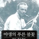 키엑스 네이버블로그