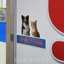 돌봄동물병원(나