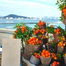 더테라스 112동 앞(1) | 인천 영종도 데이트 갈만한곳 오션뷰 카페 바다앞테라스