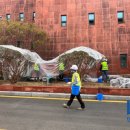 강구약품 이미지