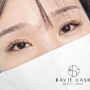 하비래쉬