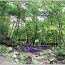 중앙펜션 이미지