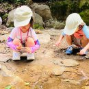 건영유치원 이미지