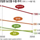 “日수출 해봐야 빈손” 파프리카農 울린 ‘슈퍼 엔저’ 이미지