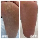 레푸스 금호점 이미지