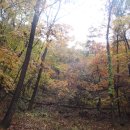 장성호 수변트레킹길 주차장 이미지