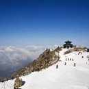 농협원대동 이미지