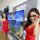 LG전자 55형 OLED TV 출시 이미지