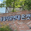 더나은펫샵 | 동물자유연대 온캣 봉사 후기 :: 온캣 봉사활동 신청 방법