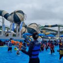 소호사계절매점 | 여수 1박2일 호텔 추천 호캉스 오션뷰 숙소 디오션리조트 워터파크 수영장 물총축제 바베큐 조식 후기