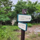 이른아침민박 이미지