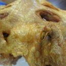 붐(BOOM식당) 이미지