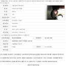 펫토이동물병원 이미지