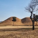 대지의 염원 이미지