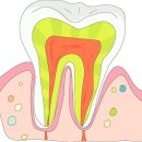 포유치과의원 이미지