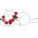 라임고양이 이미지
