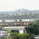 고창선운사 정금자할매풍천장어 | [전라북도 고창군] 두암초당