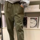 고양이뻐스 이미지