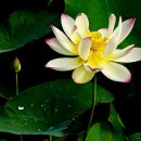 낙동강변8 이미지