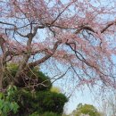 2호선 동백역 4번출구 이미지