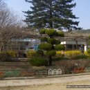 남이초등학교 이미지