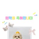 개린이세상 이미지