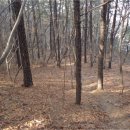 분당-271 이미지