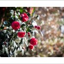 자산동105 이미지