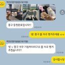 구미천사유치원 | [까만코댕치원] 강아지 유치원 3개월 찐 후기!!