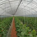 농경3농장 이미지