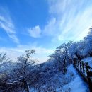 1월9일 신비롭고 새하얀 눈꽃세상…발왕산 천년주목숲길 이미지