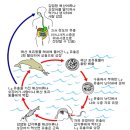 고래뜰 이미지