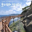 제 90차 2026년10월 정기둘레길 - 포항:호미반도 해안둘레길 2코스(선바우길) 이미지