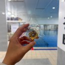 프리랑 | 수영 아예 못해도 즐길 수 있는 성남 스낵프리다이빙 후기!!