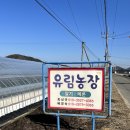 유림농장 이미지