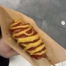 용평로 | [밀양 글램핑] 해브솔 캠프 자쿠지 방갈로 3번방 내돈내산 후기