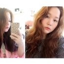 펌펌살롱
