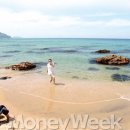 7번국도 이미지